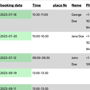 Digital booking journal